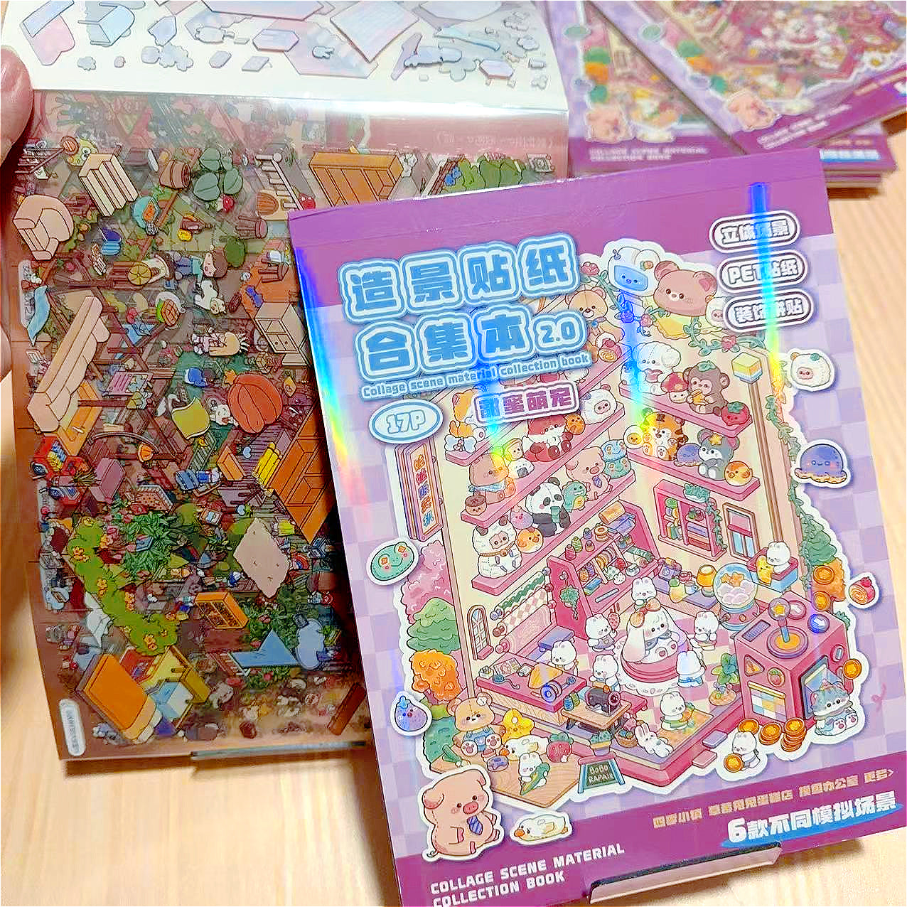 Pink Holo Large Sticker Booklet (6 in 1)